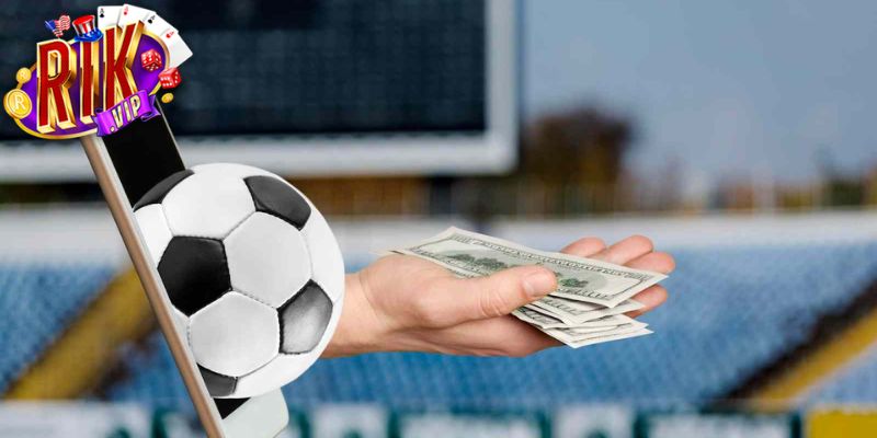 Công thức xác định tiền cỏ theo hạng thành viên