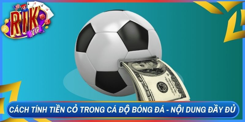 Cách Tính Tiền Cỏ Trong Cá Độ Bóng Đá - Nội Dung Đầy Đủ