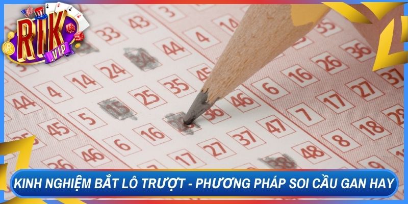 Kinh Nghiệm Bắt Lô Trượt - Phương Pháp Soi Cầu Gan Hay